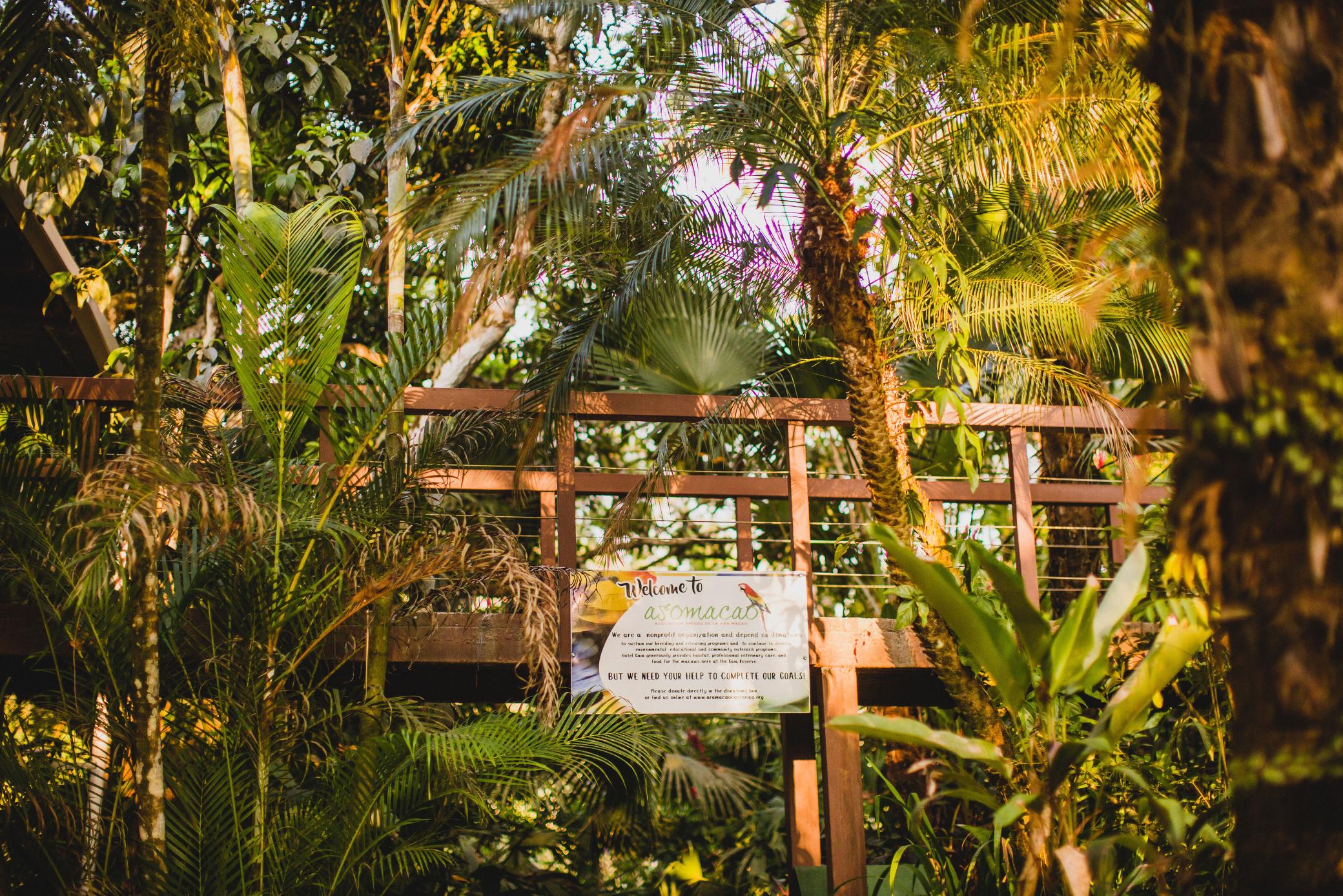 Gaia Hotel & Reserve- Adults Only Nationalpark Nationalpark Manuel Antonio Exterior foto